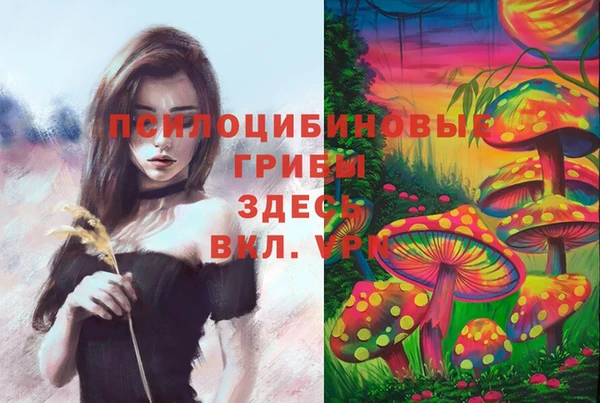 mdpv Нефтегорск